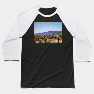 Photo of Cholla Cactus at Joshua Tree National Park V1 Baseball T-Shirt